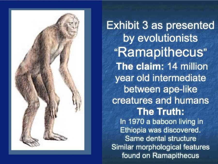 Ramapithecus