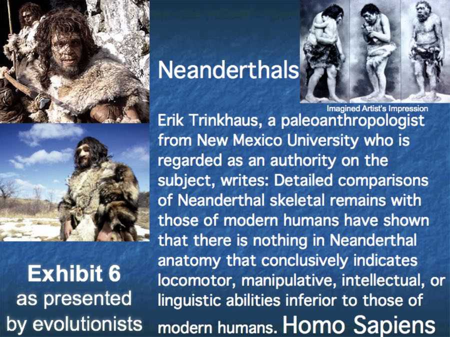 Neanderthals